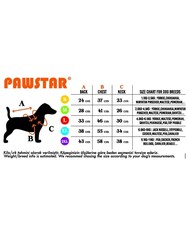 Pawstar Gri Sporty Kedi Köpek Tişörtü - Kedi Köpek Kıyafeti L - Thumbnail