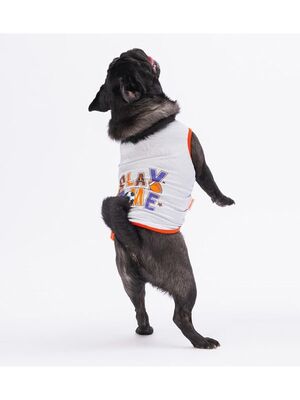 Pawstar - Pawstar Gri Sporty Kedi Köpek Tişörtü - Kedi Köpek Kıyafeti S