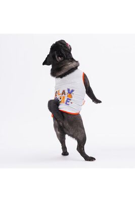 Pawstar - Pawstar Gri Sporty Kedi Köpek Tişörtü - Kedi Köpek Kıyafeti XL