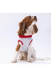 Pawstar Gri Summer Time Kedi Köpek Tişörtü - Kedi Köpek Kıyafeti 2XL - Thumbnail