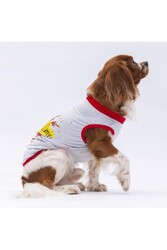 Pawstar Gri Summer Time Kedi Köpek Tişörtü - Kedi Köpek Kıyafeti 2XL - Thumbnail