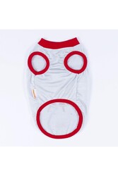 Pawstar Gri Summer Time Kedi Köpek Tişörtü - Kedi Köpek Kıyafeti 2XL - Thumbnail