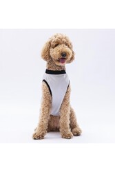 Pawstar Gri Travel Büyük Köpek Tişörtü - Köpek Kıyafeti (15 KG-45 KG) 3XL - Thumbnail