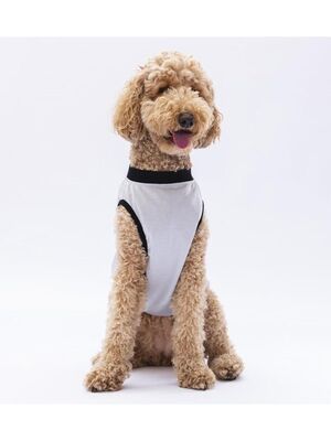 Pawstar - Pawstar Gri Travel Büyük Köpek Tişörtü - Köpek Kıyafeti (15 KG-45 KG) 3XL