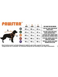 Pawstar Gri Travel Büyük Köpek Tişörtü - Köpek Kıyafeti (15 KG-45 KG) 3XL - Thumbnail