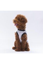 Pawstar Gri Travel Kedi Köpek Tişörtü - Kedi Köpek Kıyafeti M - Thumbnail