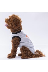 Pawstar Gri Travel Kedi Köpek Tişörtü - Kedi Köpek Kıyafeti M - Thumbnail