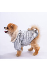 Pawstar Gümüş Brillante Köpek Montu Köpek Yağmurluk Köpek Kıyafeti Köpek Elbisesi - 2XL - Thumbnail