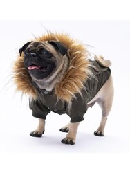 Pawstar Haki Charles Köpek Mont Köpek Yağmurluk Köpek Kıyafeti Köpek Elbisesi XL - Thumbnail