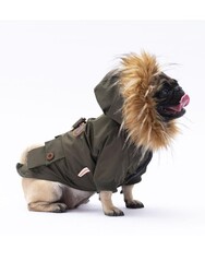 Pawstar Haki Charles Köpek Mont Köpek Yağmurluk Köpek Kıyafeti Köpek Elbisesi XL - Thumbnail