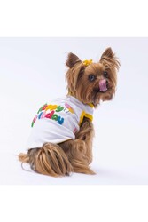 Pawstar Happy Birthday Kedi Köpek Tişörtü - Kedi Köpek Kıyafeti M - Thumbnail