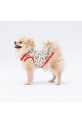 Pawstar Happy Cactus Kedi Köpek Tişörtü - Kedi Köpek Kıyafeti 2xl - Thumbnail