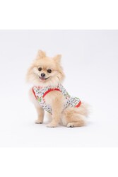 Pawstar Happy Cactus Kedi Köpek Tişörtü - Kedi Köpek Kıyafeti XL - Thumbnail