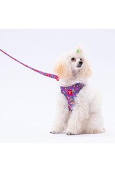 Pawstar Hearts Leash Kedi Köpek Sevk & Gezdirme Kayışı Köpek Uzatma Tasması 2x120 cm - Thumbnail