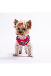Pawstar Herats Kedi Köpek T-Shirt 2XL - Thumbnail