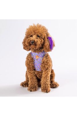 Pawstar - Pawstar Ice Cream Air-mesh Göğüs Tasması Kedi Köpek Göğüs Tasması Large