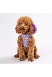 Pawstar Ice Cream Air-mesh Göğüs Tasması Kedi Köpek Göğüs Tasması XLarge - Thumbnail