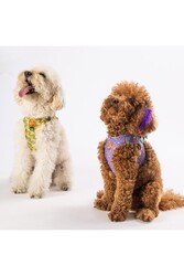 Pawstar Ice Cream Air-mesh Göğüs Tasması Kedi Köpek Göğüs Tasması XLarge - Thumbnail