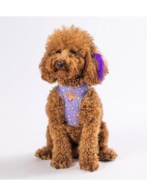 Pawstar - Pawstar Ice Cream Air-mesh Göğüs Tasması Kedi Köpek Göğüs Tasması XLarge