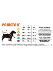 Pawstar Ice Cream Kedi Köpek Gömleği - Kedi Köpek Kıyafeti M - Thumbnail