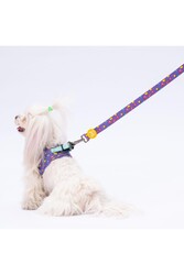 Pawstar Ice Cream Leash Kedi Köpek Sevk & Gezdirme Kayışı Köpek Uzatma Tasması 2x120 cm - Thumbnail