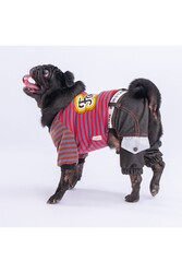 Pawstar Indigo Foodie Köpek Tulumu Köpek Kıyafeti Kedi Kıyafeti L - Thumbnail