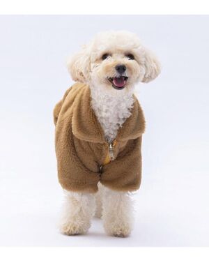 Pawstar - Pawstar Kahverengi Paris Ceket Kedi Köpek Ceketi Kedi Köpek Kıyafeti Kedi Köpek Elbisesi L