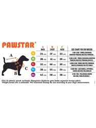 Pawstar Kahverengi Paris Ceket Kedi Köpek Ceketi Kedi Köpek Kıyafeti Kedi Köpek Elbisesi XL - Thumbnail