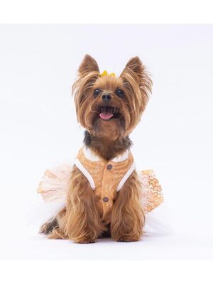 Pawstar - Pawstar Kahverengi Primavera Kedi Köpek Elbisesi Kedi Köpek Kıyafeti 2XL