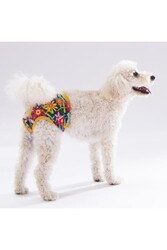 Pawstar Karışık Çiçekli Kedi-Köpek Çamaşırı Regl Kilodu (3'Lü Paket) - Thumbnail