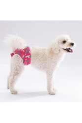 Pawstar Karışık Çiçekli Kedi-Köpek Çamaşırı Regl Kilodu (3'Lü Paket) - Thumbnail