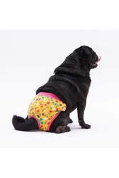 Pawstar Karışık Çiçekli Kedi-Köpek Çamaşırı Regl Kilodu (3'Lü Paket) - Thumbnail