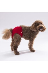 Pawstar Karışık Düz Renkli 1 Kedi-Köpek Çamaşırı Regl Kilodu 0 Numara (3'Lü Paket) - Thumbnail