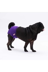 Pawstar Karışık Düz Renkli 1 Kedi-Köpek Çamaşırı Regl Kilodu 0 Numara (3'Lü Paket) - Thumbnail