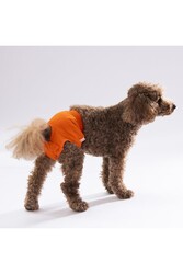 Pawstar Karışık Düz Renkli 1 Kedi-Köpek Çamaşırı Regl Kilodu 1 Numara (3'Lü Paket) - Thumbnail