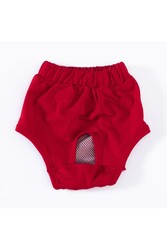 Pawstar Karışık Düz Renkli 1 Kedi-Köpek Çamaşırı Regl Kilodu 1 Numara (3'Lü Paket) - Thumbnail