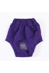 Pawstar Karışık Düz Renkli 1 Kedi-Köpek Çamaşırı Regl Kilodu 1 Numara (3'Lü Paket) - Thumbnail