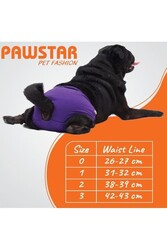 Pawstar Karışık Düz Renkli 1 Kedi-Köpek Çamaşırı Regl Kilodu 1 Numara (3'Lü Paket) - Thumbnail