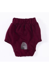 Pawstar Karışık Düz Renkli 2 Kedi-Köpek Çamaşırı Regl Kilodu 0 Numara (3'Lü Paket) - Thumbnail