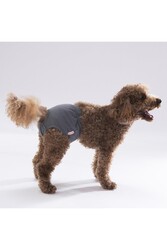 Pawstar Karışık Düz Renkli 2 Kedi-Köpek Çamaşırı Regl Kilodu 2 Numara (3'Lü Paket) - Thumbnail