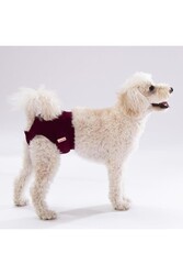 Pawstar Karışık Düz Renkli 2 Kedi-Köpek Çamaşırı Regl Kilodu 2 Numara (3'Lü Paket) - Thumbnail