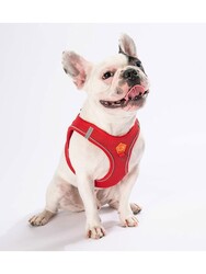 Pawstar Kırmızı Air-mesh Göğüs Tasması Kedi Köpek Göğüs Tasması L - Thumbnail