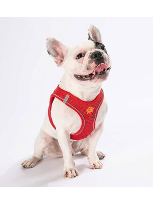 Pawstar - Pawstar Kırmızı Air-mesh Göğüs Tasması Kedi Köpek Göğüs Tasması L