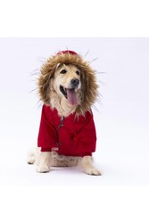 Pawstar Kırmızı Charles Büyük Irk Köpek Mont Köpek Yağmurluk Köpek Kıyafeti Köpek Elbisesi 5XL - Thumbnail