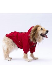 Pawstar Kırmızı Charles Büyük Irk Köpek Mont Köpek Yağmurluk Köpek Kıyafeti Köpek Elbisesi 5XL - Thumbnail