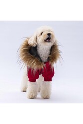 Pawstar Kırmızı Charles Köpek Mont Köpek Yağmurluk Köpek Kıyafeti Köpek Elbisesi M - Thumbnail