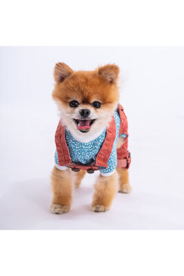 Pawstar - Pawstar Kırmızı Denim Salopet Tişört Kombini Köpek Kıyafeti Köpek Tişört -tulum Kombini - M