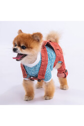 Pawstar Kırmızı Denim Salopet Tişört Kombini Köpek Kıyafeti Köpek Tişört -tulum Kombini - XL - Thumbnail