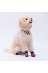 Pawstar Kırmızı Köpek Ayakkabısı-Köpek Patiği - Thumbnail