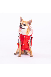 Pawstar Kırmızı Railway Anorak Yelek Köpek Yeleği Köpek Kıyafeti Köpek Yağmurluk - 2XL - Thumbnail